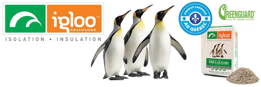 Igloo